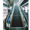 Passenger Conveyor (BXR Series)