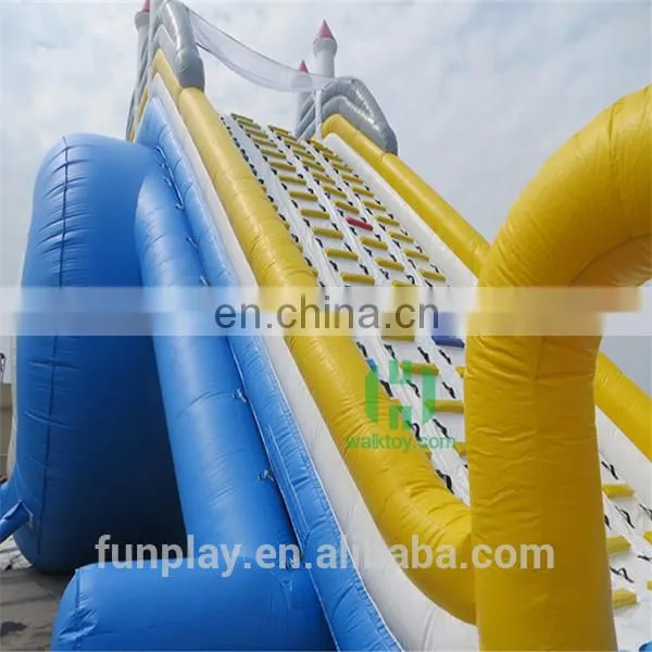 HI Popular Design Inflatable Slide Adult Giant Inflatable Water Slide photo-3