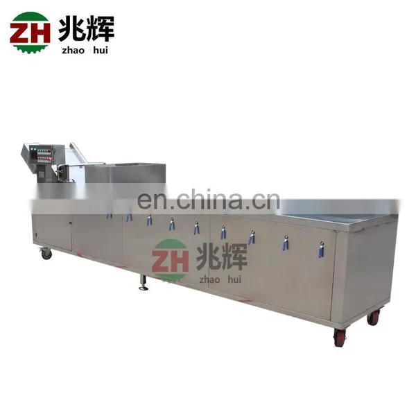 Commercial Good Quality Tomato Ozone Vegetable Washing Machine Pepper Washer photo-4