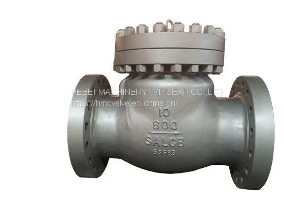 DIN/API Cast Steel Check Valve photo-2