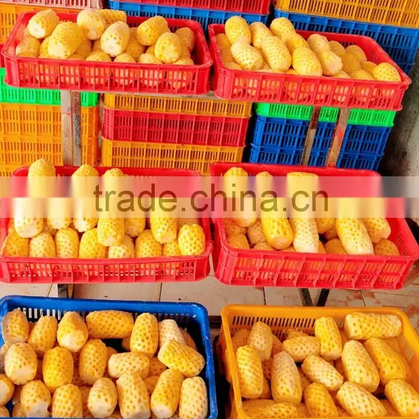 Best Price Vietnam Frozen Yellow Pineapple Fruit photo-2