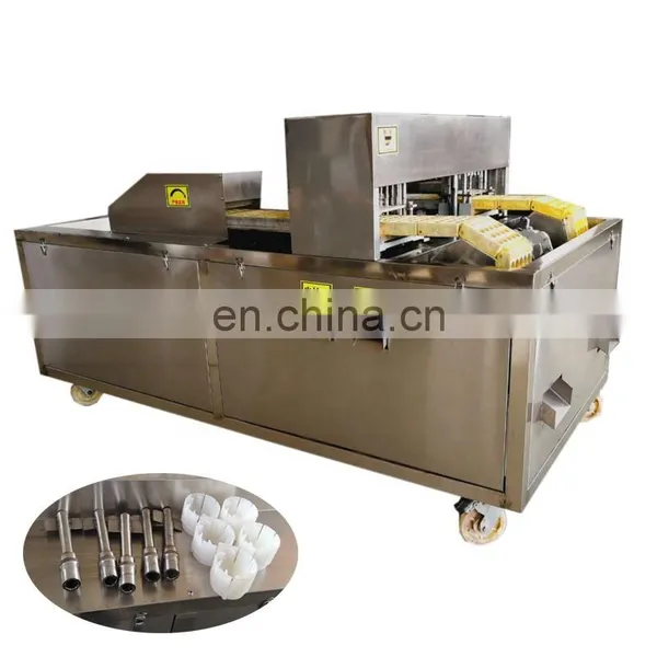 Date Longan Seed Removing Equipment Red Jujube Nuclear Pitting Machine. photo-4
