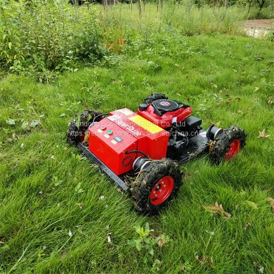 Robot Slope Mower, China Industrial Remote Control Lawn Mower Price, rc Mower for Sale photo-4