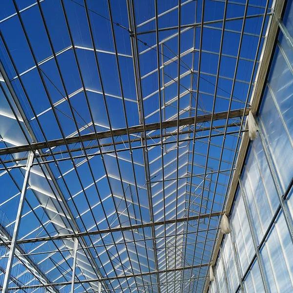 4mm Tempered Greenhouse Glass Panels With UV Protection for Horticulture photo-3