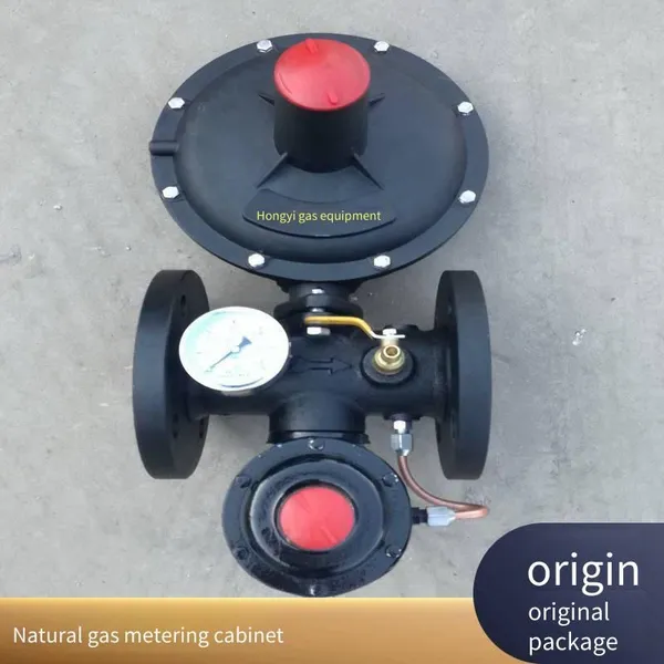 2000 Cubic Gas Pressure Reduction and Supply Equipment, Cng Pressure Regulating Box, Metering Cabinet, Hongyi Technology