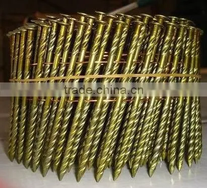 Coated Coil Nails photo-4