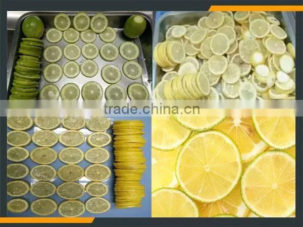 Leader Kiwi Slicing Machine With CE&ISO photo-5