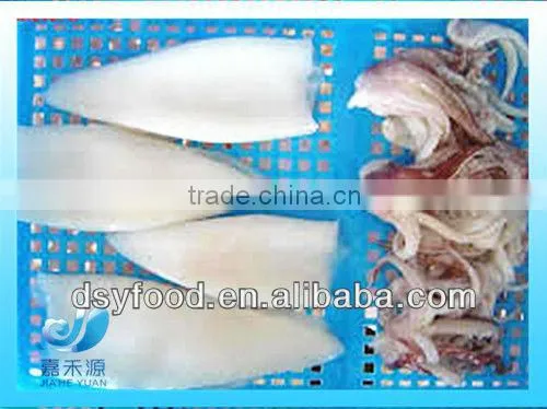 Frozen Squid After Cleaning photo-4