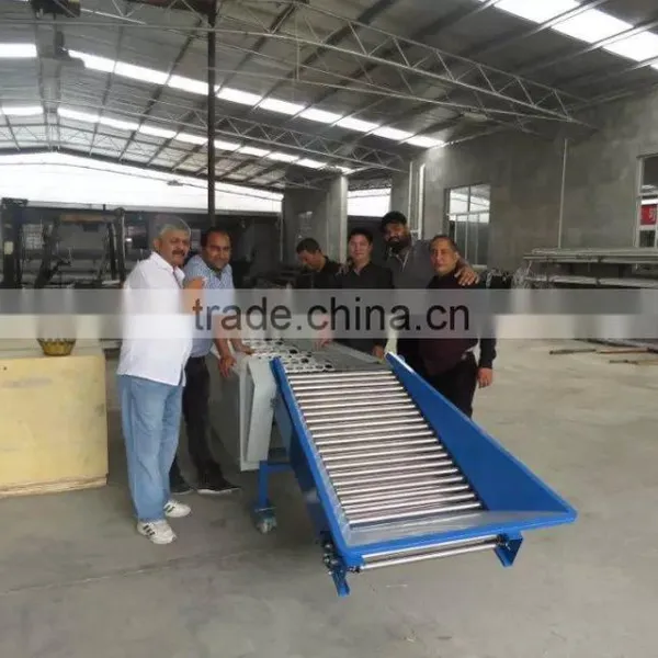 Electronic Fruit Sorting Machine photo-5