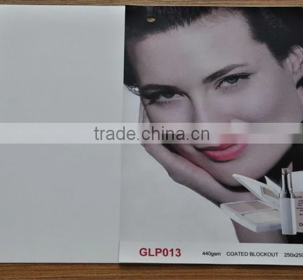 Coated Blockout 440gsm (13oz) Double Sie Printing Flex Bnner photo-2