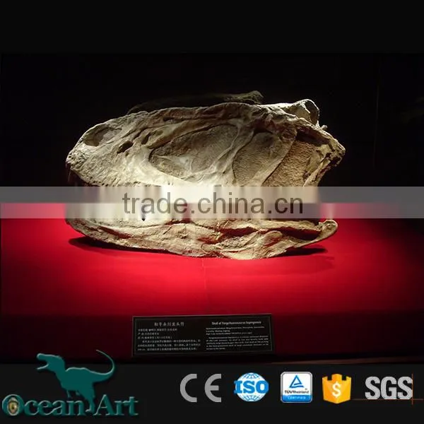 OAV3112 1:1 Scale Artificial Resin Dinosaur Skull photo-4
