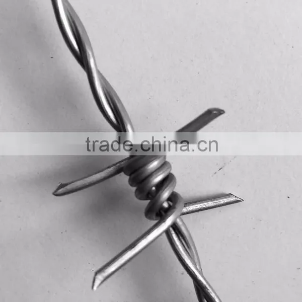Galvanized Barbed Wire photo-4
