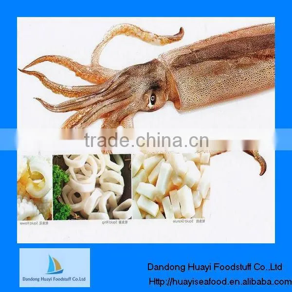 Frozen Squid