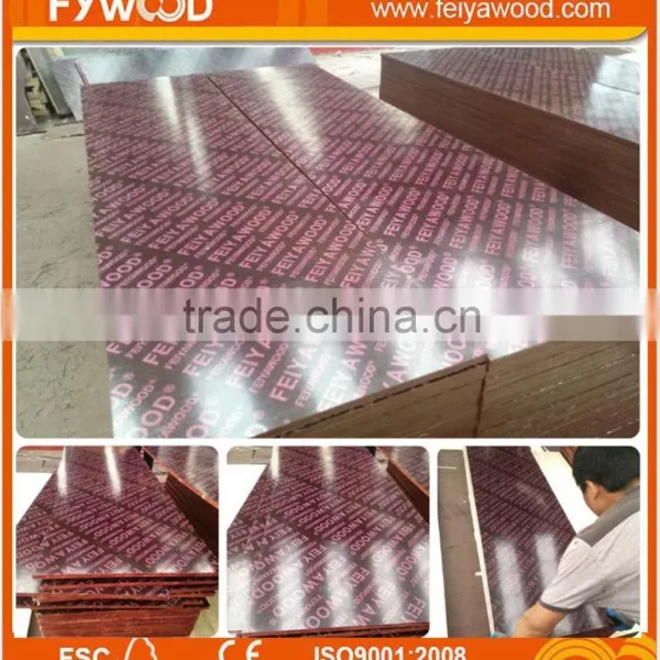 Export Maldives Film Faced Plywood photo-4