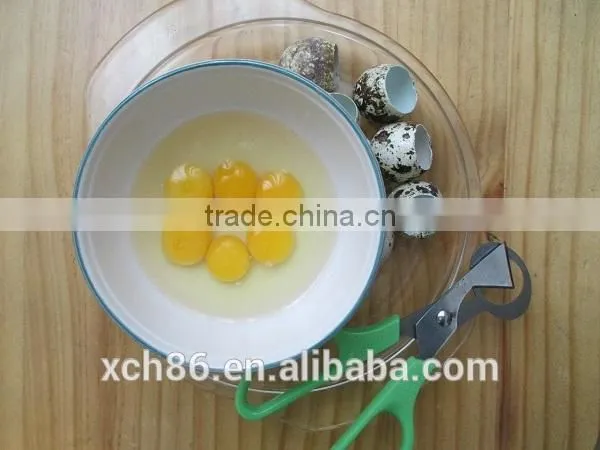 Stainless Steel Kitchen Quail Egg Shell Cutter photo-2