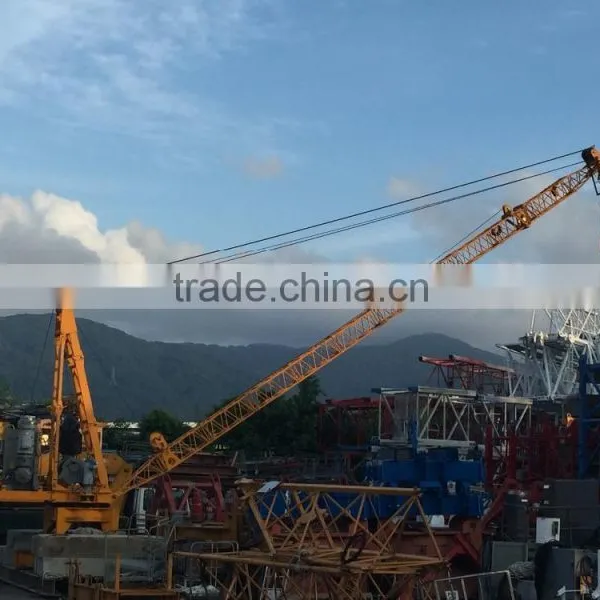 Tower Crane SCR3016