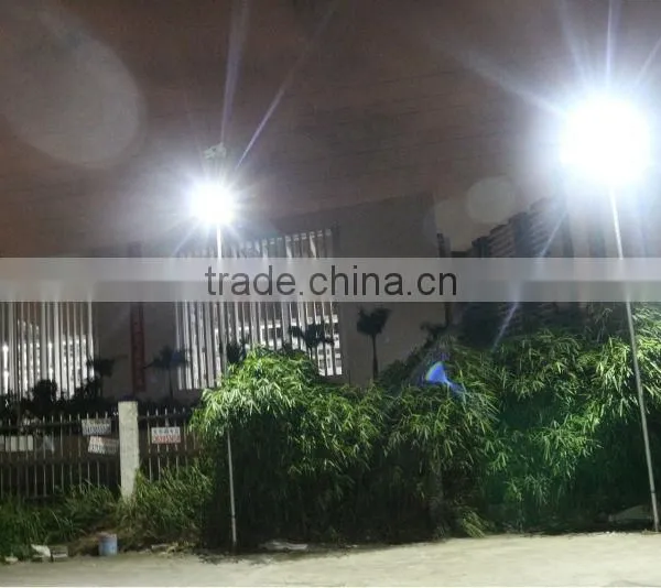 2014 Newest Style Solar Peacock Lights for Garden With Waterproof IP65 Factory Price With Certificated CE&RoHS