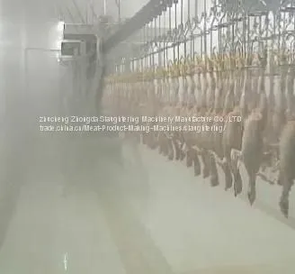 Good Quality and Price Slaughtering House From Zhucheng Zhongda photo-4