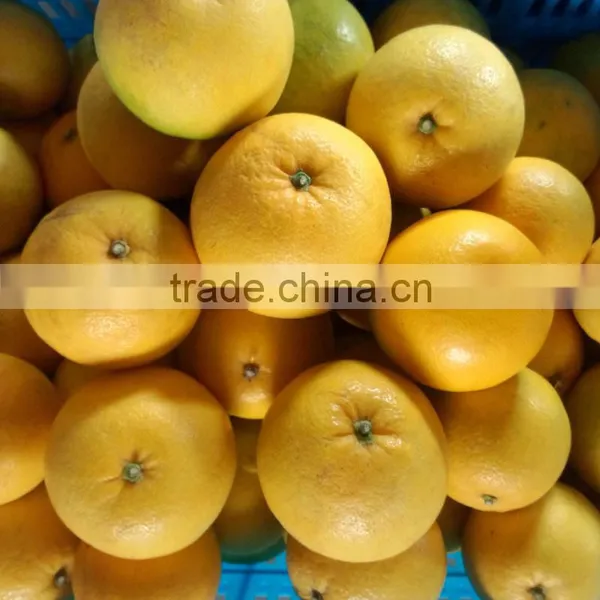 Pomelo Sacs in Water of 18L Tin 60% photo-2