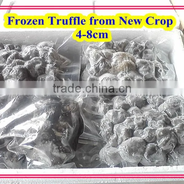 Top Quality Fresh Truffle Tuber Indicum