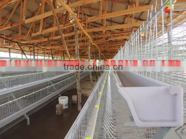 TAIYU Layer Hen Farming