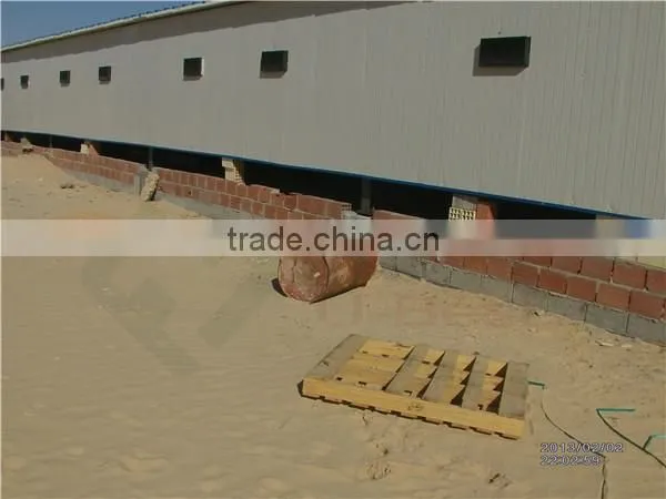 Commercial Steel Structure Poultry House/chicken Farm/broiler Shed photo-4