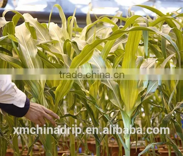 Drip Tape Irrigation System Drippers Irrigation Supplies photo-5