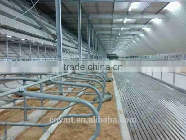 Cattle Farm Cattle Free Stall photo-3