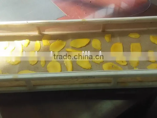 Microwave Vacuum Dryer for Mango/mango Slice photo-3