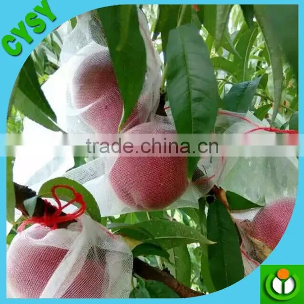 Vegetable Garden Plastic Insect Netting photo-2