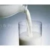 Yoghurt Gelatine photo-2