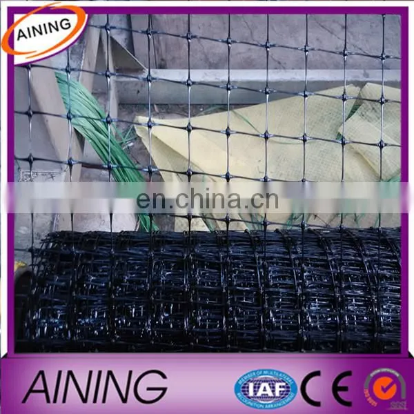 China Supplier of PP Chicken Net Hot Sale to Thailand photo-4