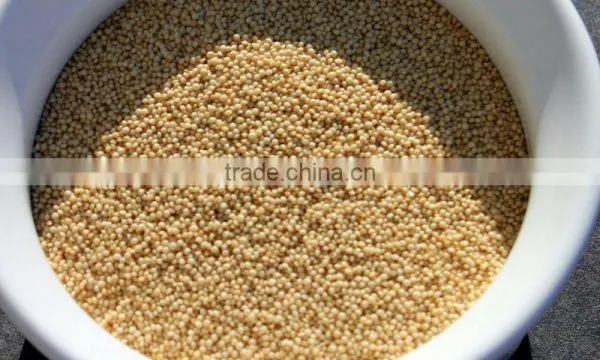 Amaranth