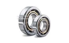 Top Quality 7305AC Angular Contact Ball Bearing Slew Ring Bearing photo-2