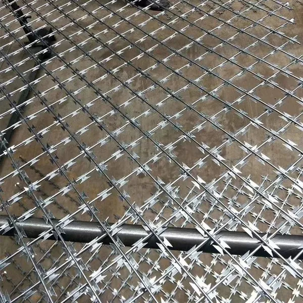 Galvanized Razor Wire With 2.5mm Core Diameter for Perimeter Security photo-5