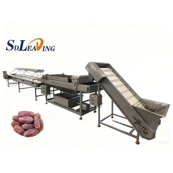Automatic Industrial Air Bubble Palm Dates Processing Machine Commercial Date Palm Washer Cleaning Machine Dates Cleaner photo-2