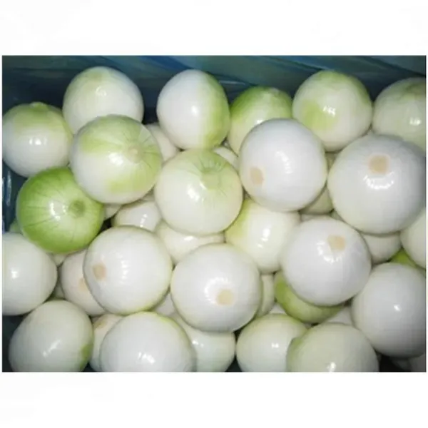 Shanghai New-Onion High Efficiency Drying Machine Food-Applicable Farm & Food Shop Industries photo-4