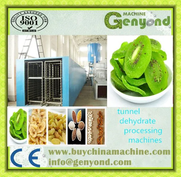 Fruit and Food Microwave Tunnel Dryer/Dehydrator and Sterilizer Machine photo-2