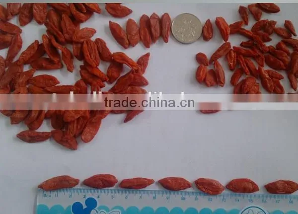 Dried Goji Berry Chinese Wolfberry