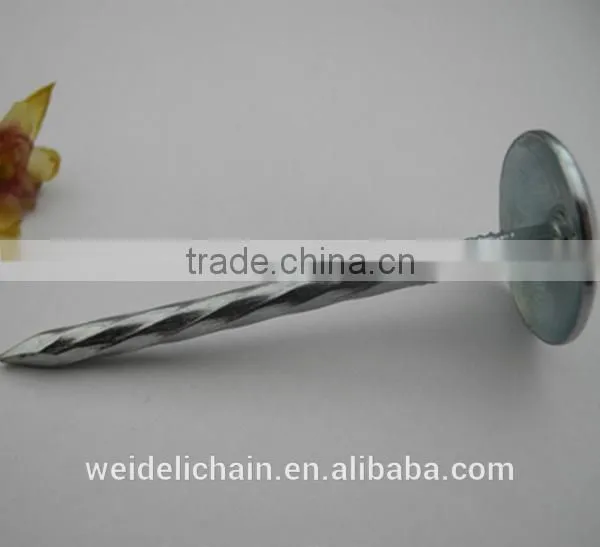 China Umbrella Roofing Nails With Twist Shank or Plain Shank photo-3