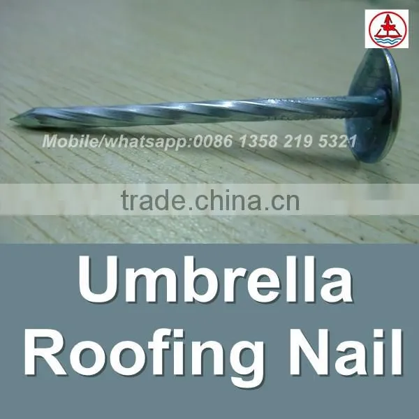 China 1 Lb. Electro Galvanized Roof Nail photo-6