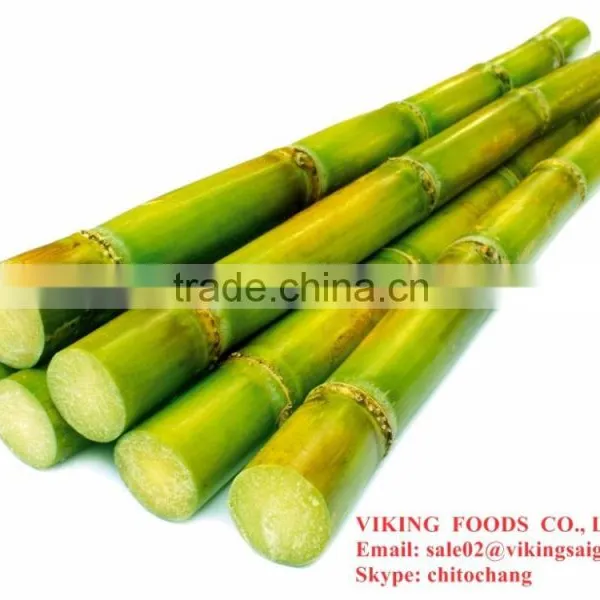FROZEN SUGAR CANE - GOOD QUALITY photo-3