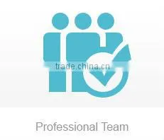 Professional Team