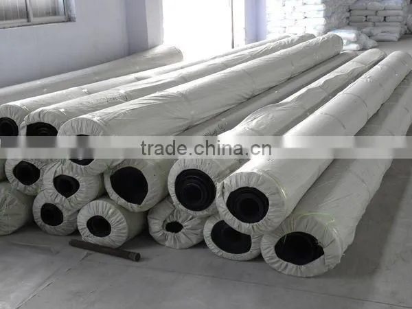 Geomembrane