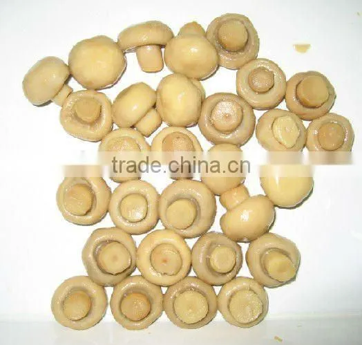 Canned Mushrooms in Glass Jar Branded Canned Food Products photo-3
