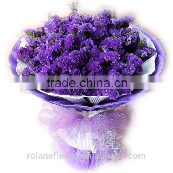 the Beautiful Decorative Foliage Purple Myosotis Flower photo-3