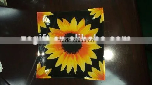 2015 New Decal Printing Square Glass Plate photo-6