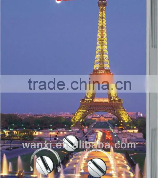 Flue Type Gas Water Heater