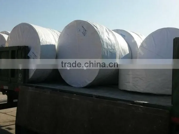 pp Woven Fabric