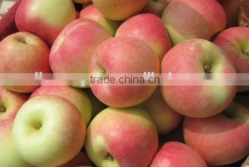 Fuji Apples photo-4